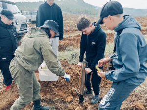 В Заиграевском районе Бурятии появится новый лес