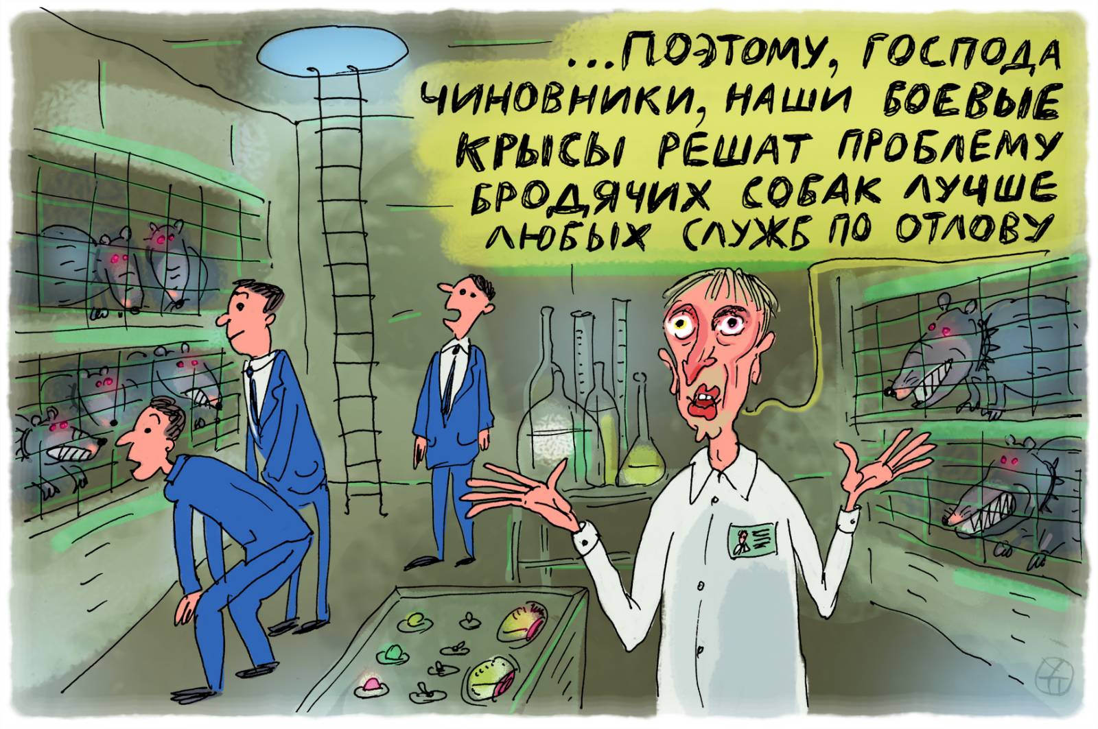 Крысиные бои Крысиные бои