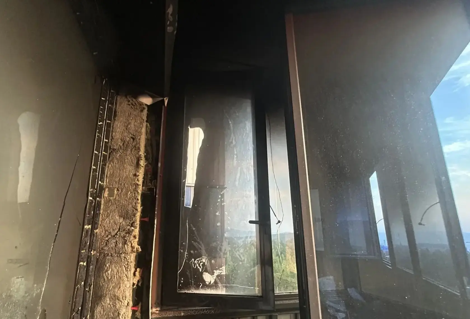 ���� ����-������� ���������� ����� �� ������