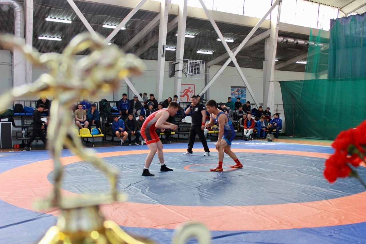 Самбисты Бурятии завоевали 42 медали на межрегиональном турнире