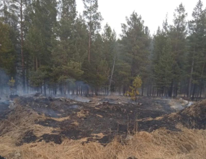 В Бурятии потушили единственный лесной пожар