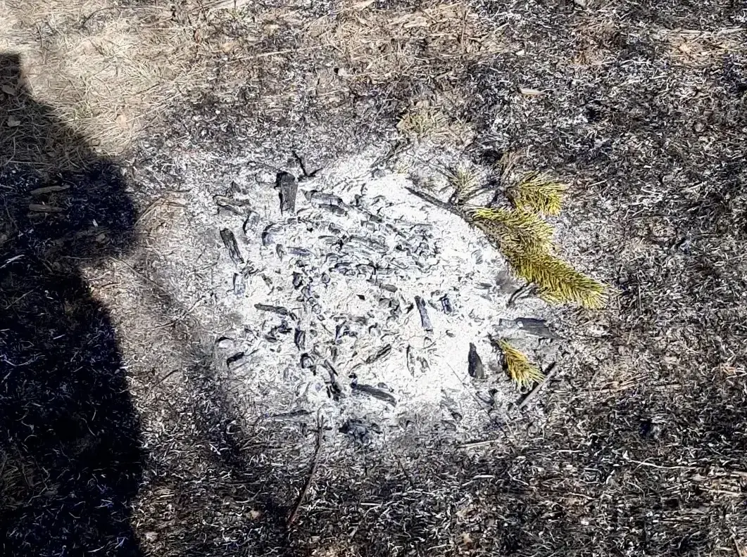 � ������� ���� �������� ��������� �������