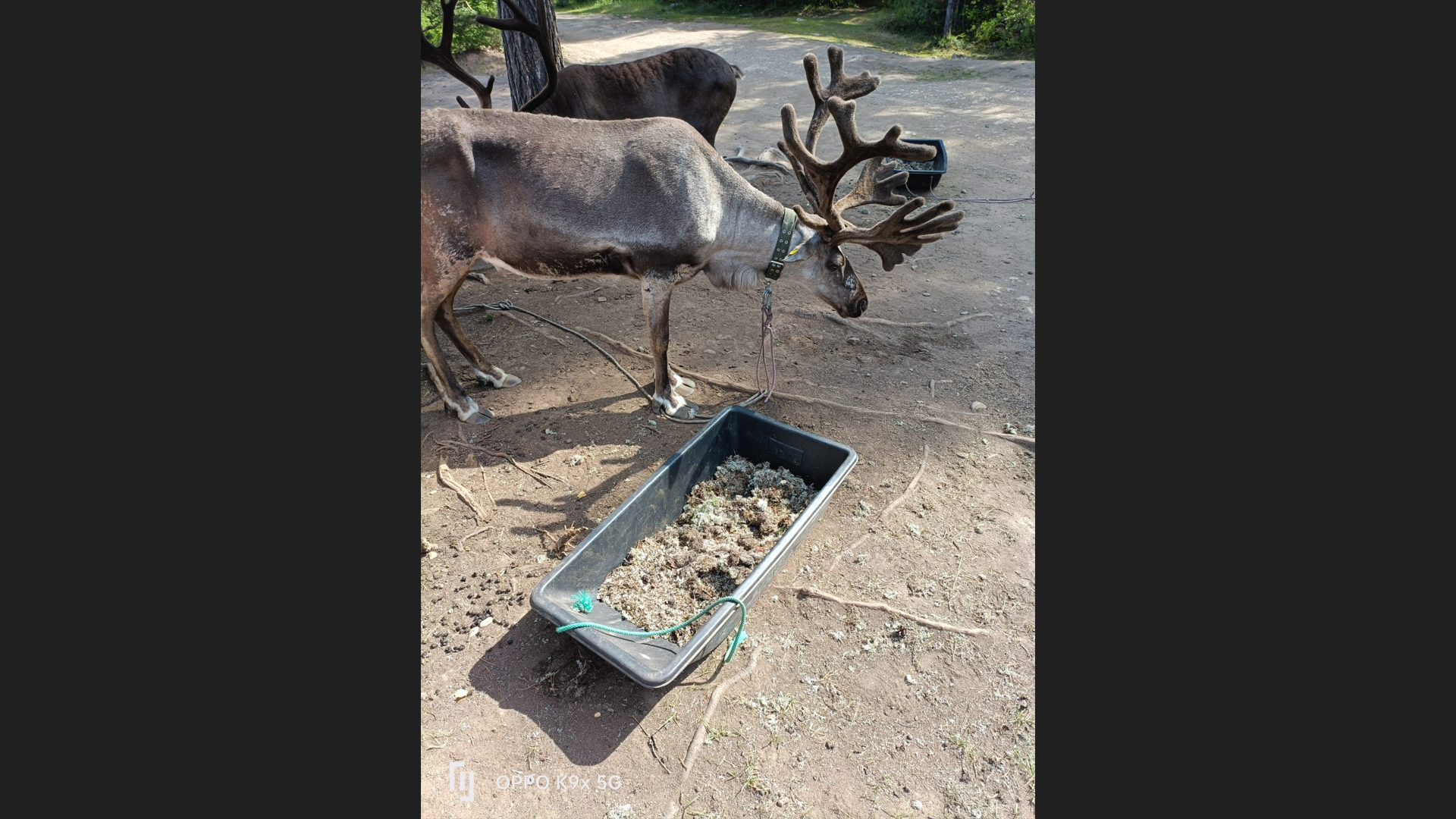 � ������� ������ ������ ������� ��� �������� ����� ��� ����������