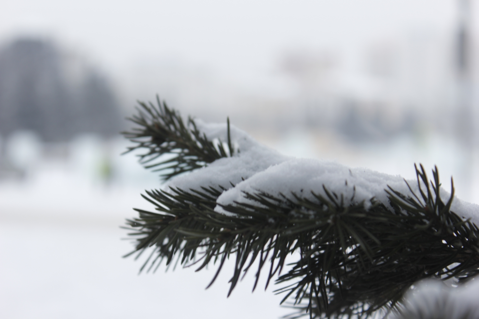 � ������� ��������, ��������� ����