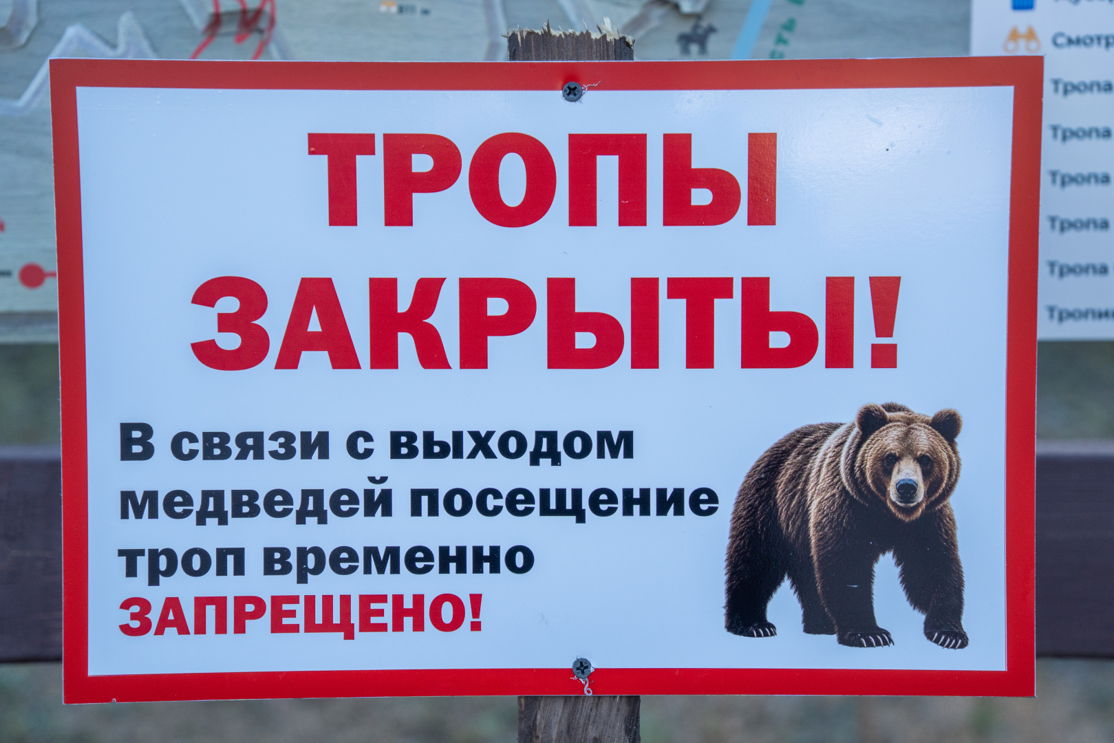 � ������ ������� ����� ����� �������