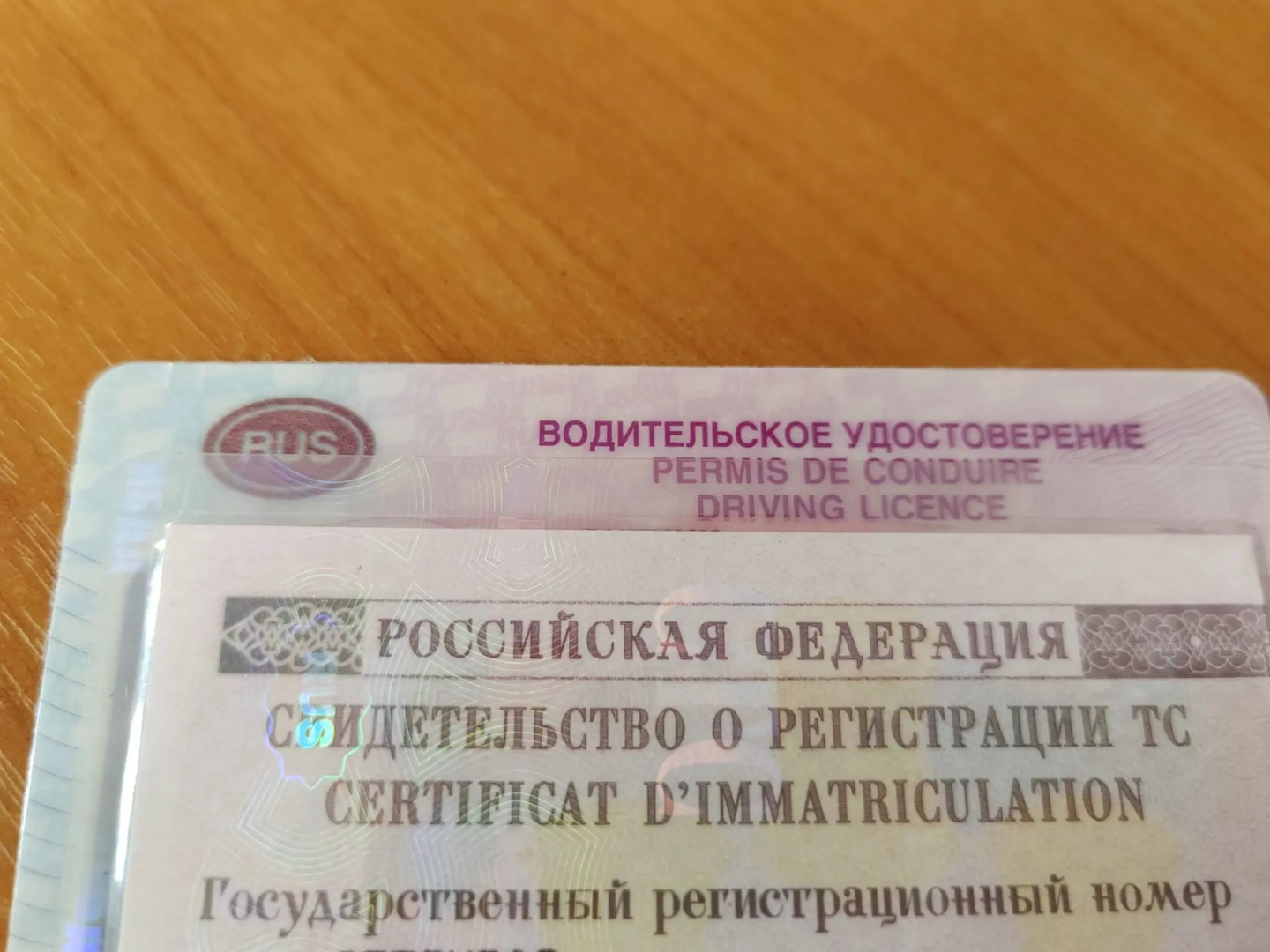 � ����-��� 25 ������ ������ ����