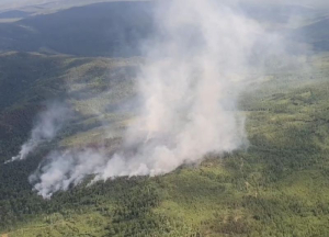 13 лесных пожаров тушат сейчас в Бурятии