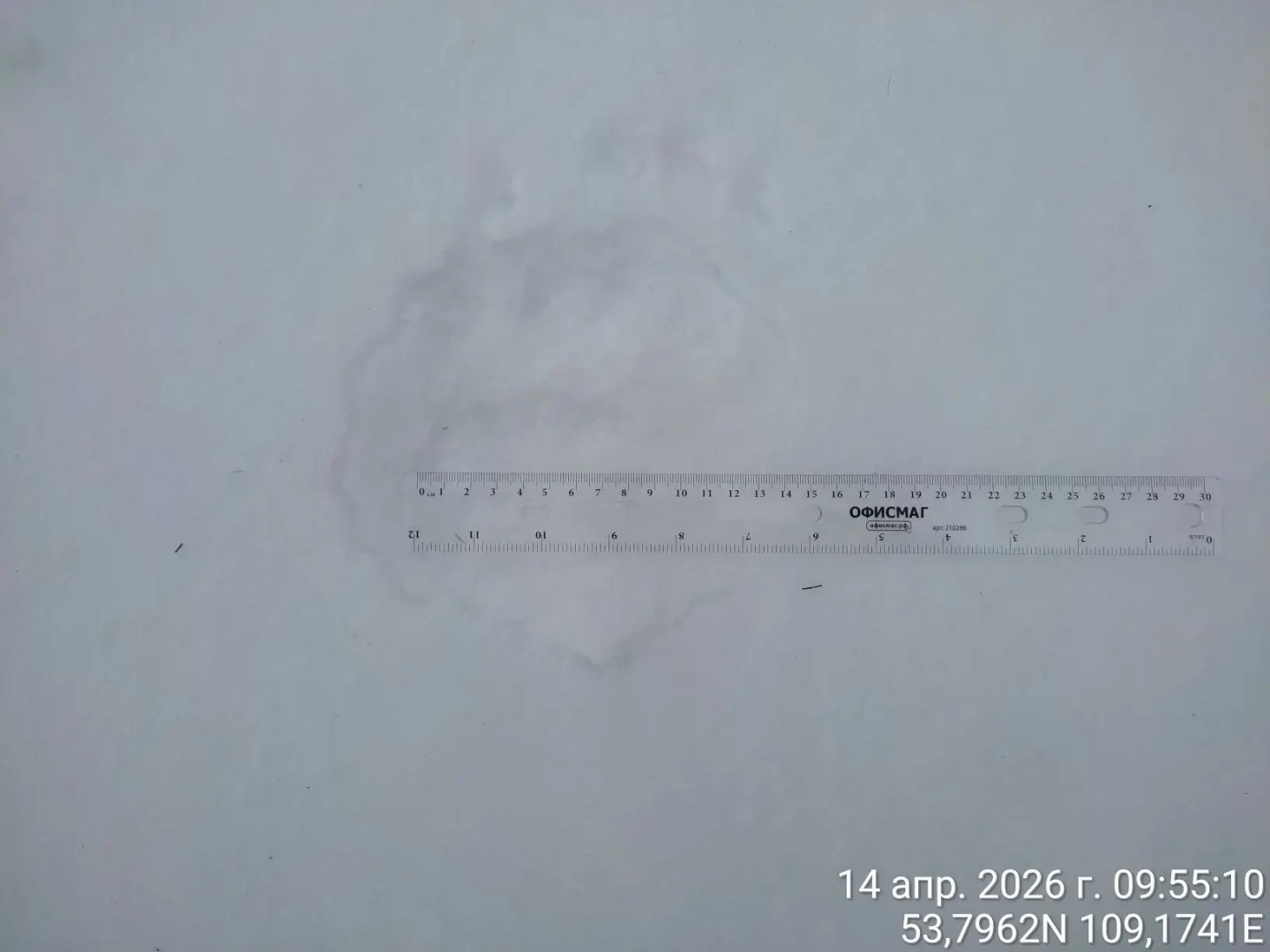 � ������� ����� ������� ���������� ����� ������� 