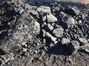 Монголия не успевает отгружать гигантские партии угля в Китай