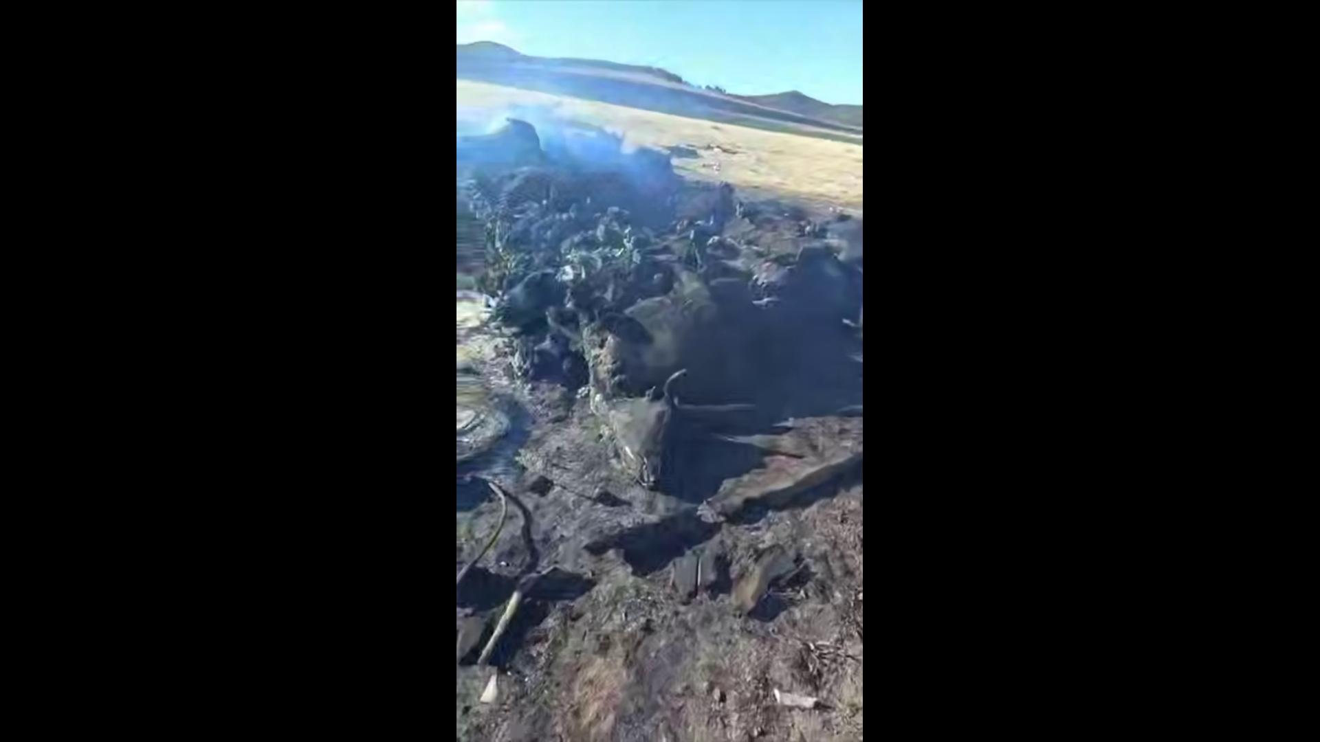 � ����� �� �������� � ������� ���� ����� �� ���������
