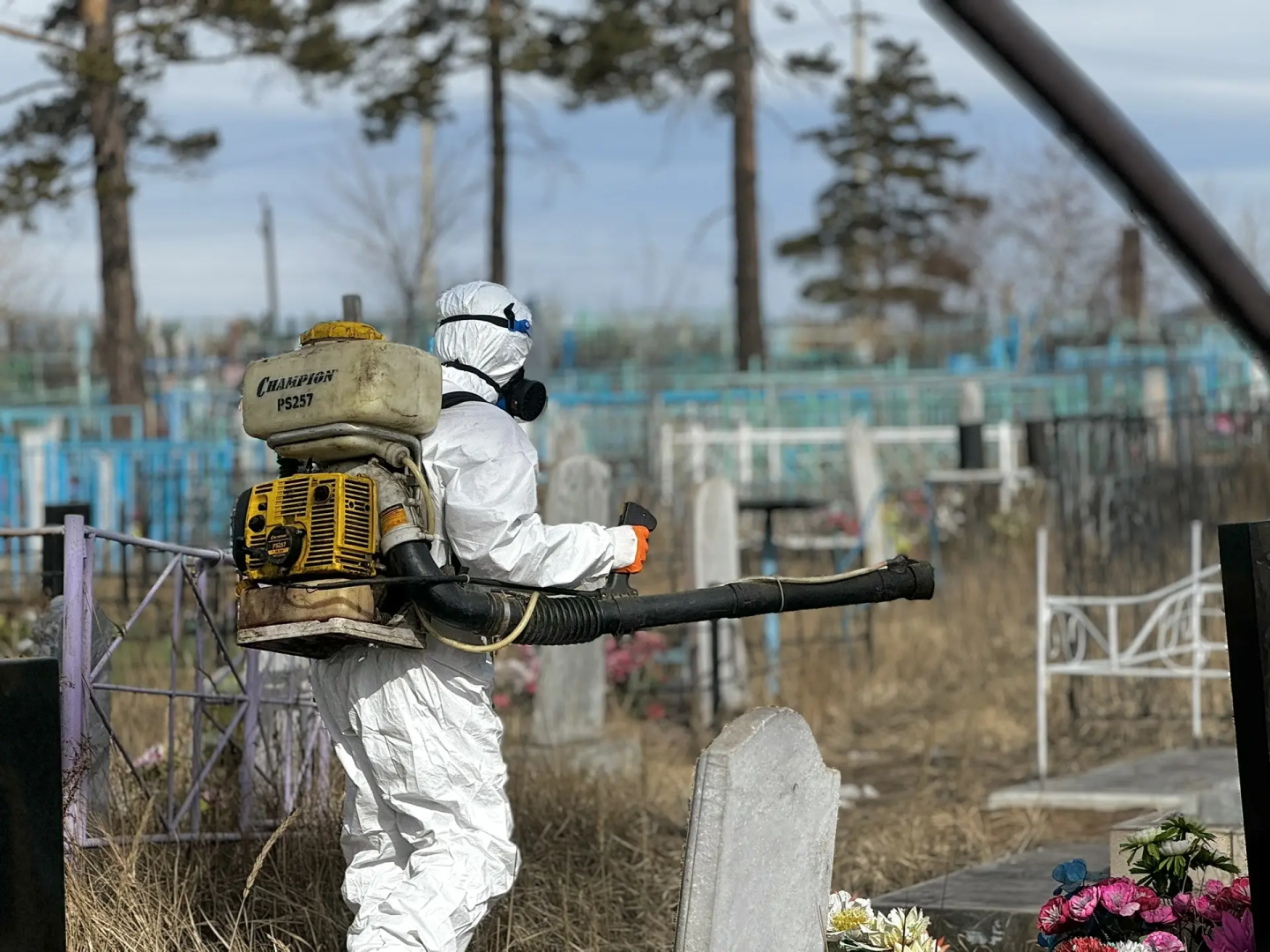 �������� ����-��� ������������ �� ������ � �����