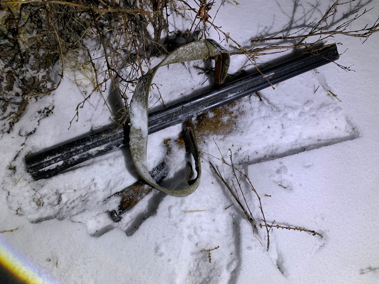 ������ ������� ��������� ���� �����������