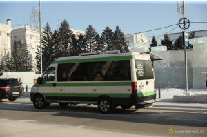 В Улан-Удэ после нападения собак на людей, увеличивают выпуск автобусов