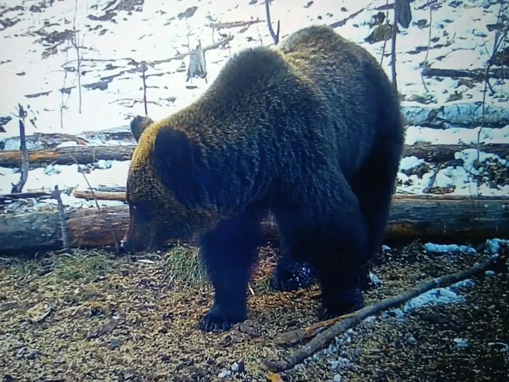 � ��������� ������ ������� ���������� �������