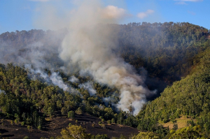 В Бурятии лесные пожары готовы тушить 1000 военнослужащих ВВО 