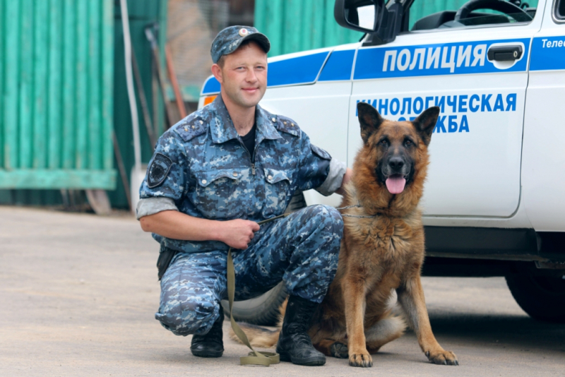 В Улан-Удэ пенсионер поинтересовался у лезущего в форточку вора целью визита В Улан-Удэ пенсионер поинтересовался у лезущего в форточку вора целью визита
