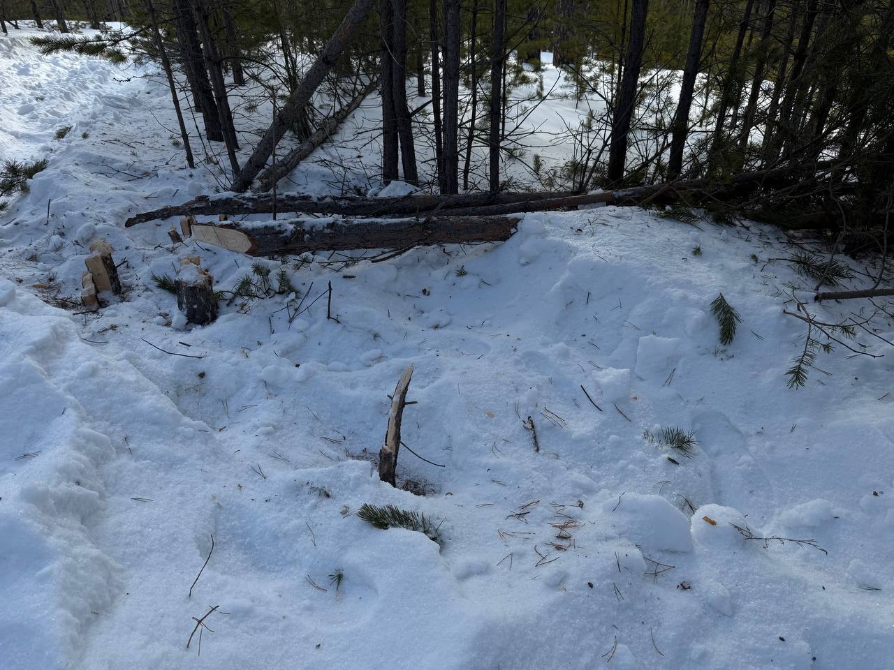 �� ����� �������� � ����-��� ��������� ����� 20 ��������