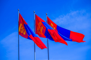 Депутатам парламента Монголии запретили выезд за границу