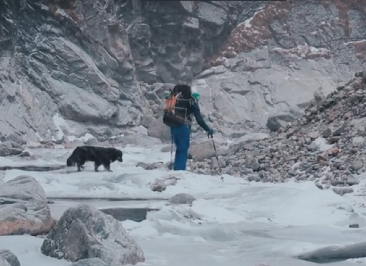 ��������� ����������� �������������� ���� ������� (�����)