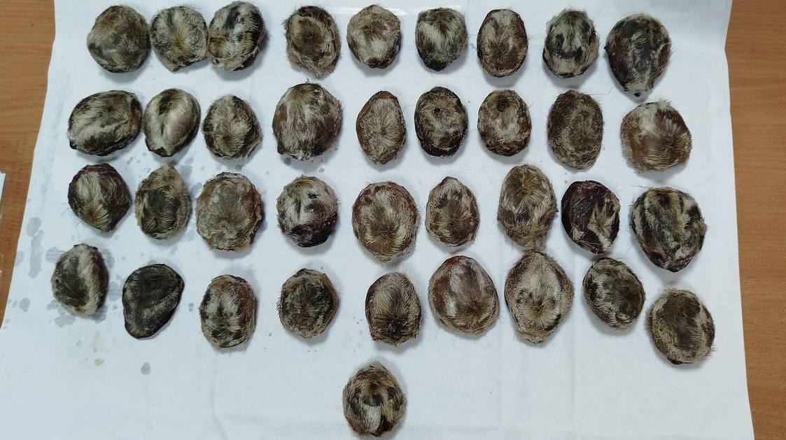 ��������� ��������� � ������� 6 ��������� �� ��������� ������