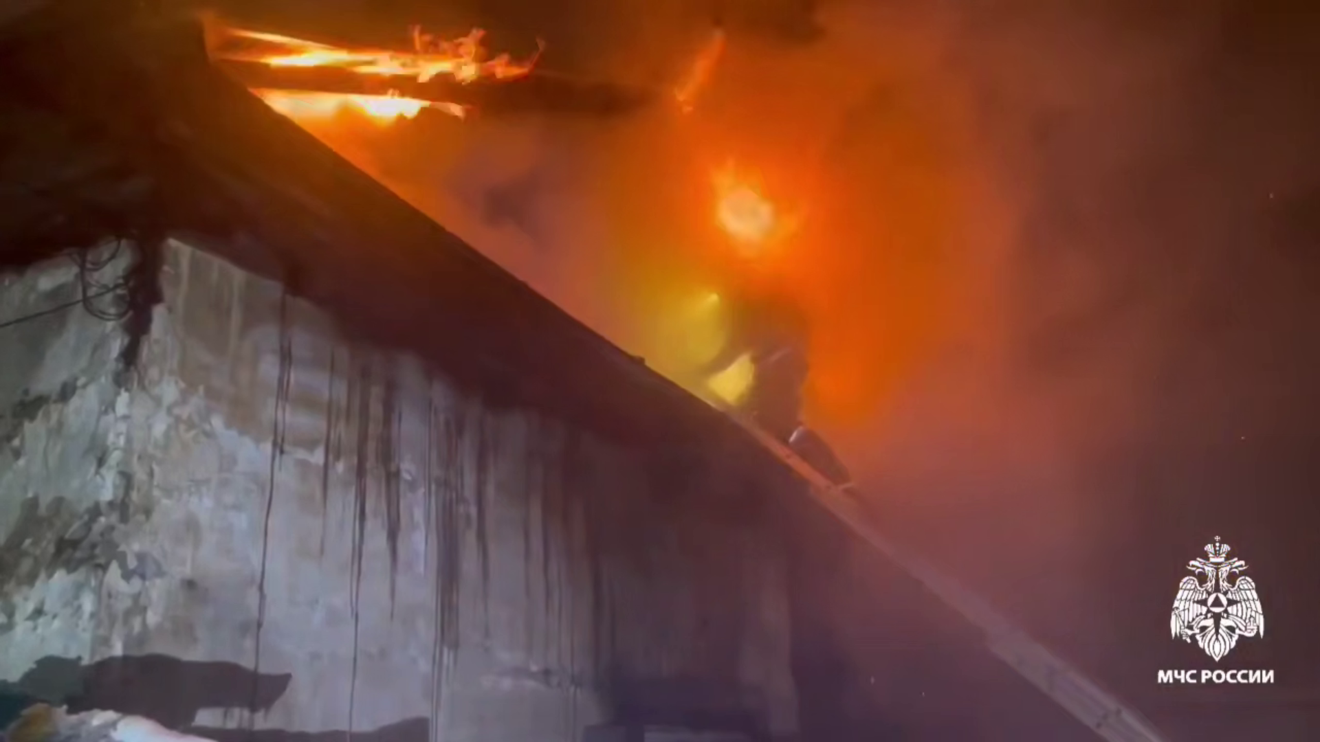 � ������ ����-��� �� ������ ���������� ���� �������