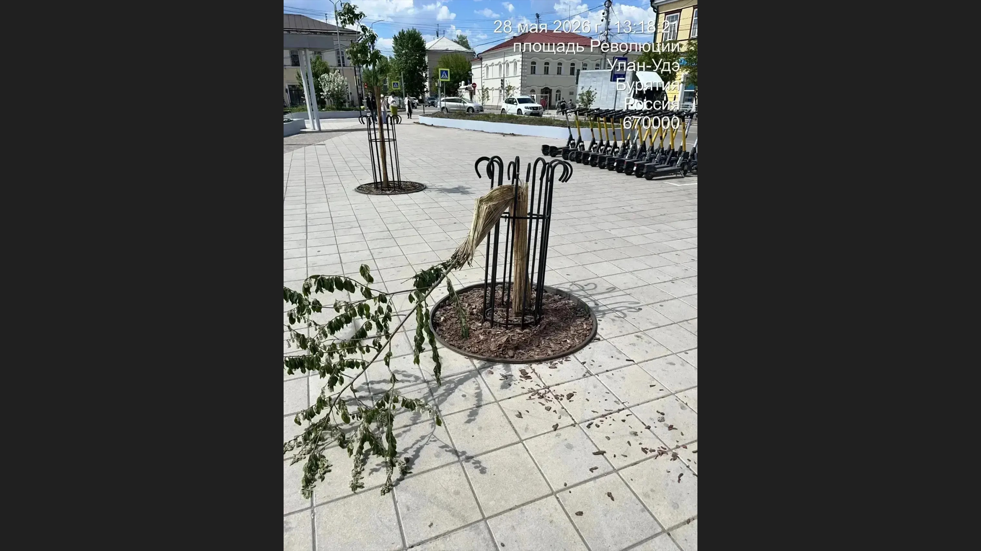 � ����-��� ��������� �������� ������� ������� �� ������� ���������
