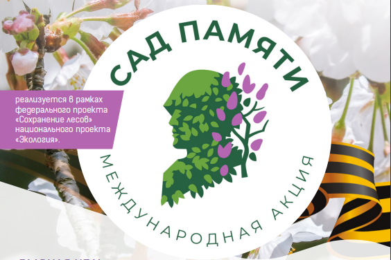 В Бурятии запустили международный проект «Сад памяти» В Бурятии запустили международный проект «Сад памяти»
