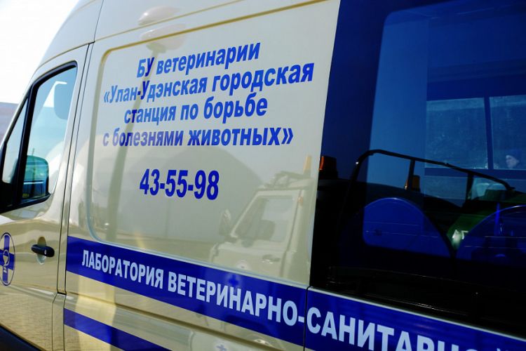 У ветеринаров Бурятии отобрали надзорные функции У ветеринаров Бурятии отобрали надзорные функции
