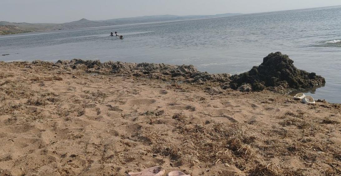 Жители Бурятии напуганы вредоносными водорослями на Гусином озере Жители Бурятии напуганы вредоносными водорослями на Гусином озере