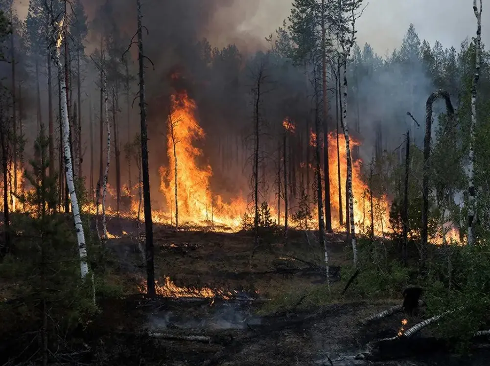 � ������ ���� � ������� ������������� ��� 13 ������ ������� 