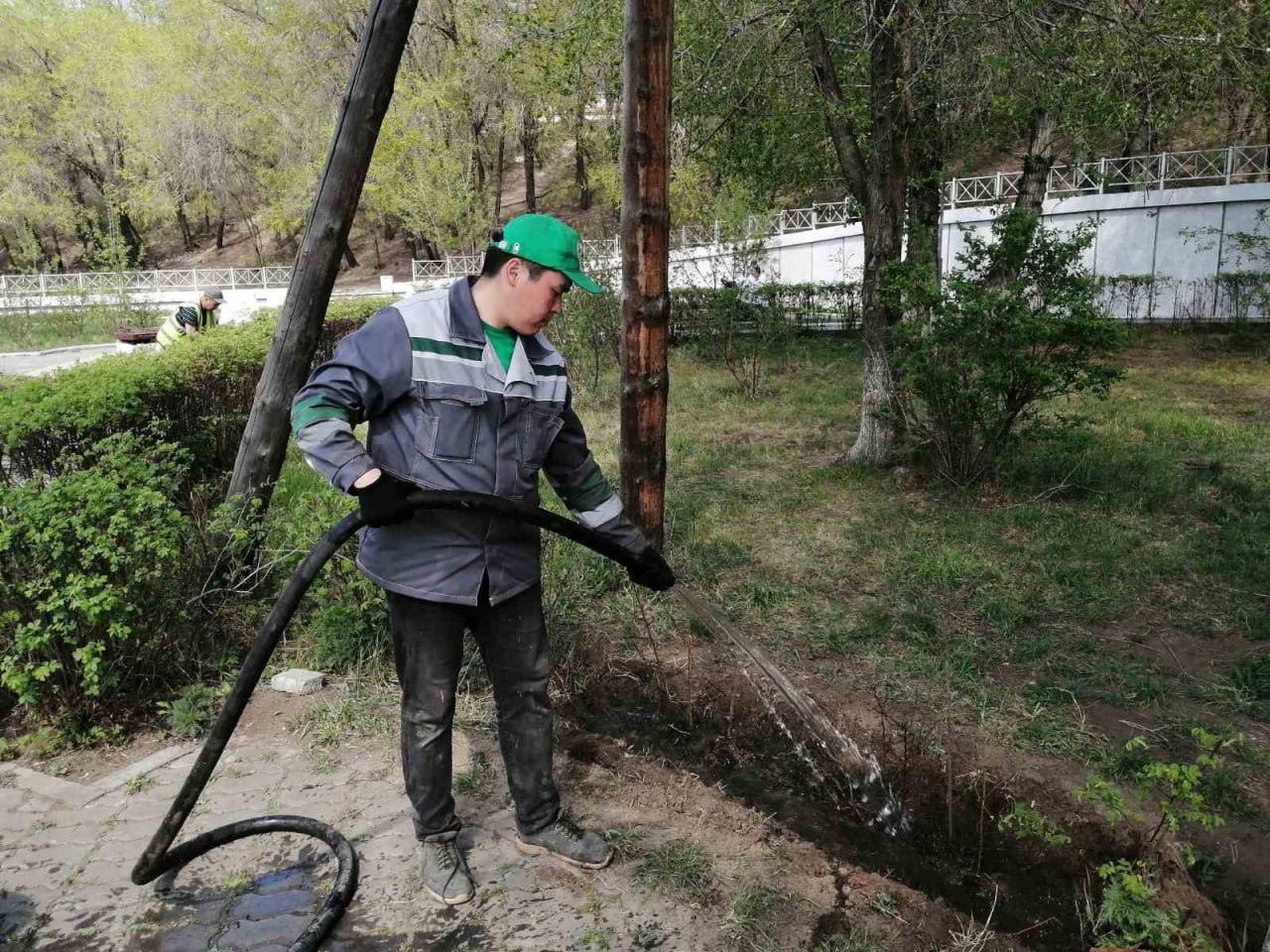 В Улан-Удэ из-за жары ежедневно поливают кусты и деревья | 02.07.2024 |  Новости Улан-Удэ - БезФормата