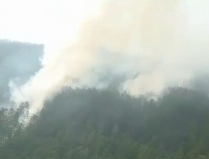Пять лесных пожаров тушат на севере Бурятии