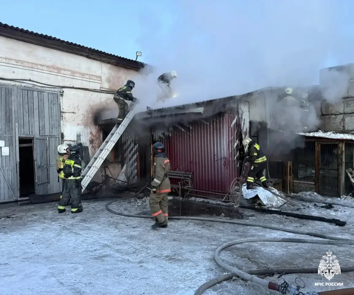 � ����-��� ��������� �������� ��������� �� ���������������