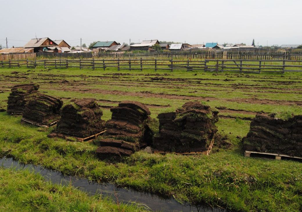 В Улан-Удэ дармовую траву из села «покупают» за сотни тысяч рублей