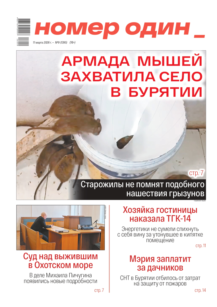 ����� �8 �� 2018 ����