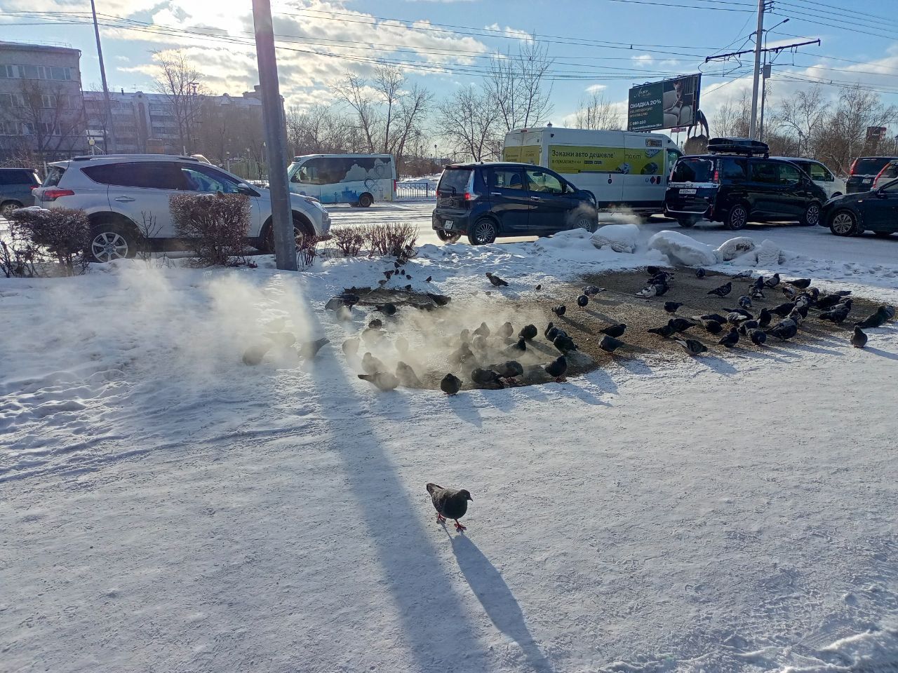 ����� ����-��� ��������� ��������� ����� ���-������, ���� �� �������� ������