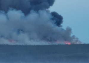 Лесной пожар на севере Бурятии разросся почти до тысячи гектар