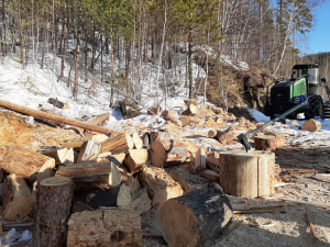 Лесники призывают жителей Бурятии заранее заготавливать дрова