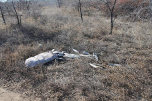 В Бурятии убегающие от полиции браконьеры выбросили мешок омуля на дорогу