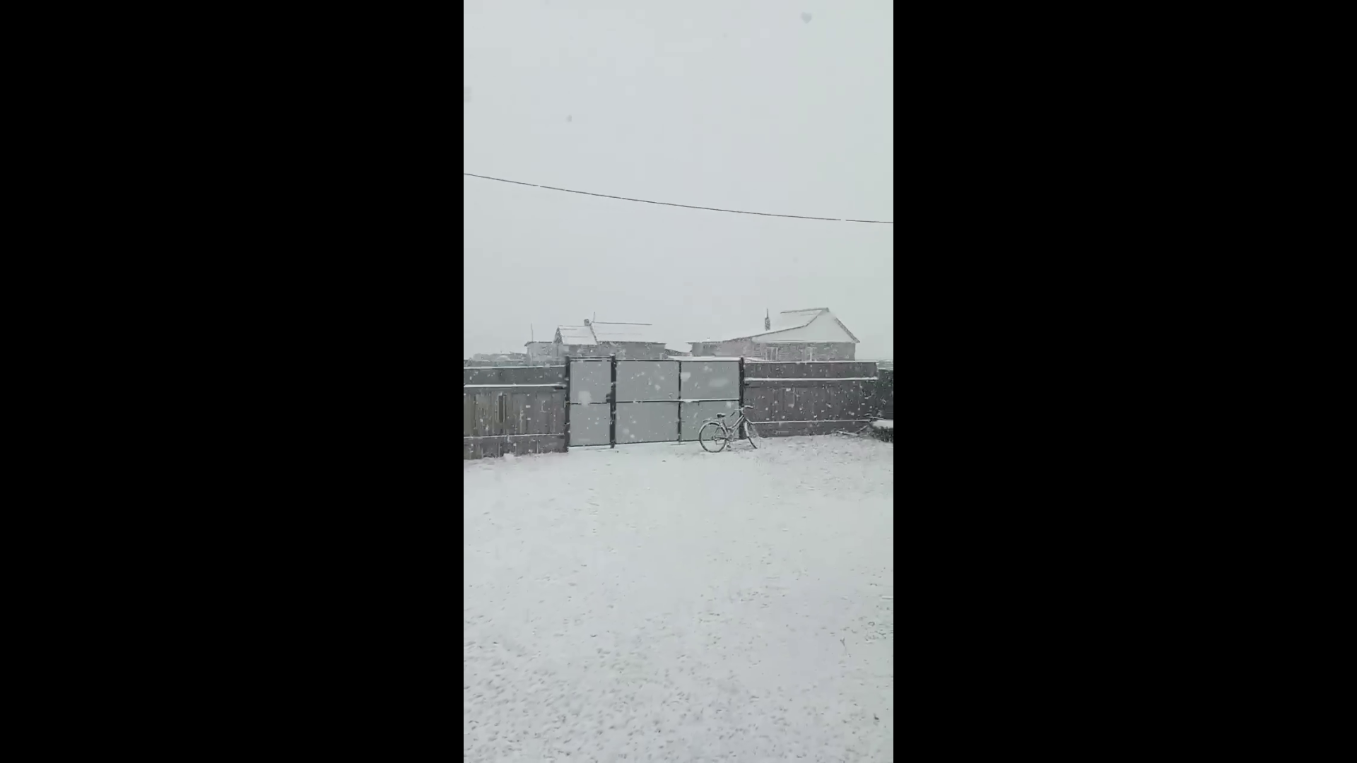 ���� � ������� �������� ������� ������