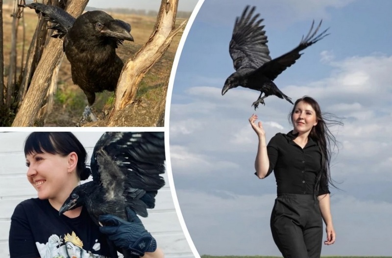 «Умеет ревновать, просить прощения и прятать обувь» «Умеет ревновать, просить прощения и прятать обувь»