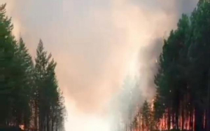 В Бурятии установили виновника пожара в Баргузинском районе