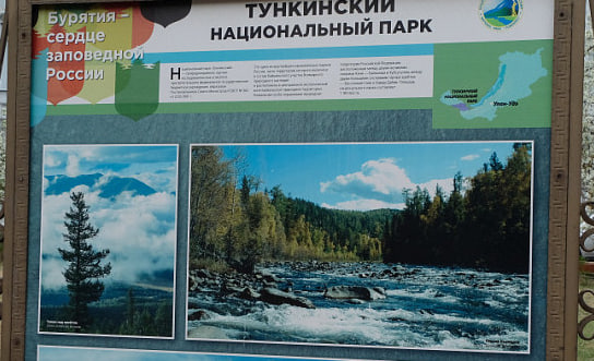 В Бурятию прилетели огромные падальщики В Бурятию прилетели огромные падальщики