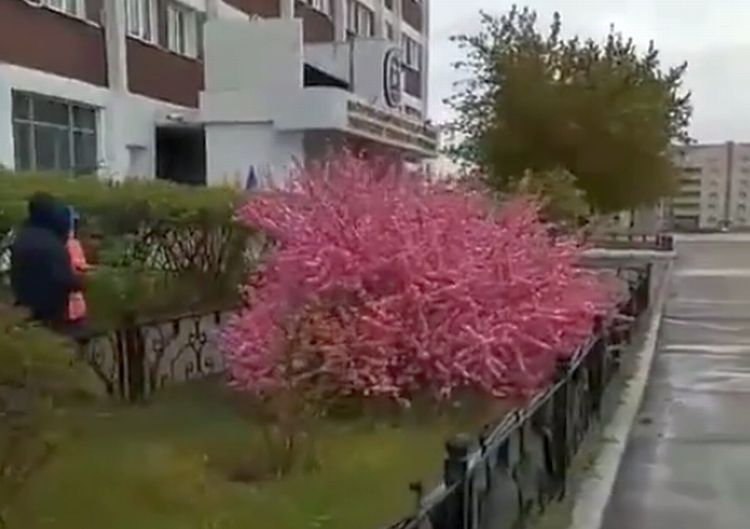 Мэр хочет превратить Улан-Удэ в Токио Мэр хочет превратить Улан-Удэ в Токио