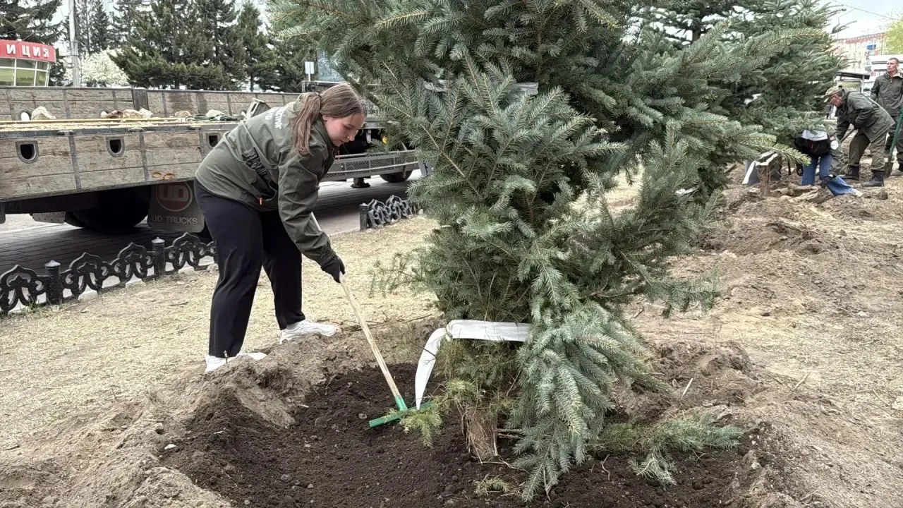 � ������ ����-��� �������� 12 ������ ����