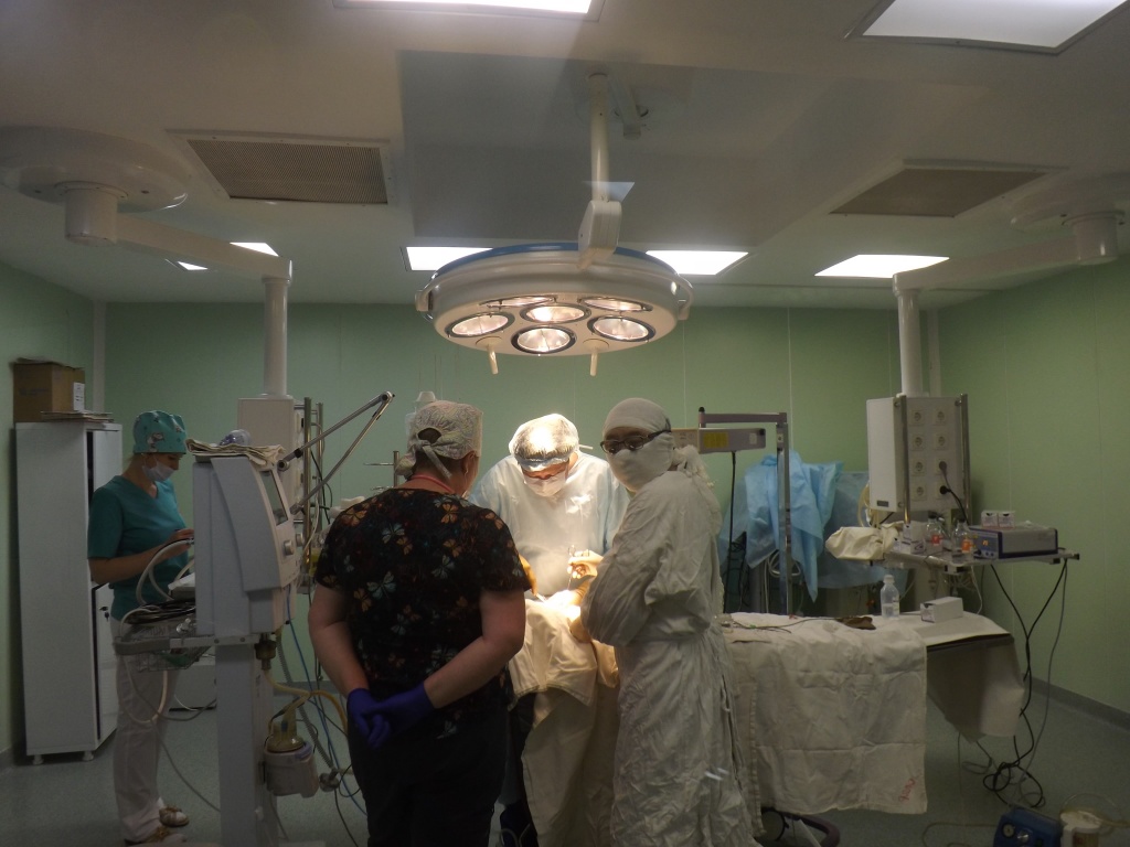 � ������� ����� ������ ������������� ������� ����� 800 �����