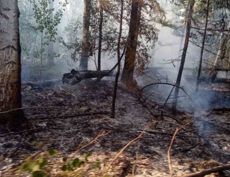 В Бурятии возник один лесной пожар В Бурятии возник один лесной пожар