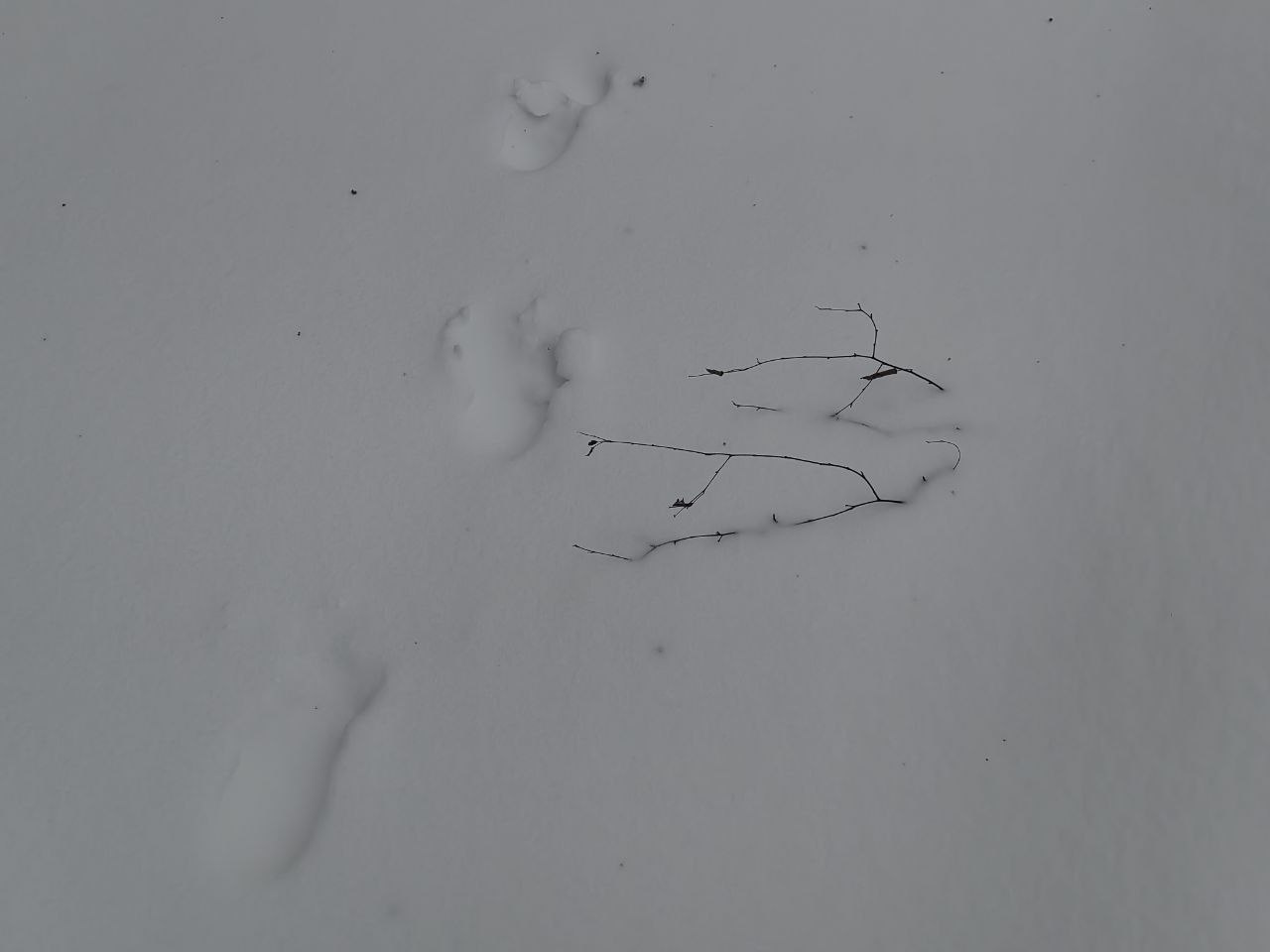 �� ����-��� ���������� ��������� 11,5 �� �������