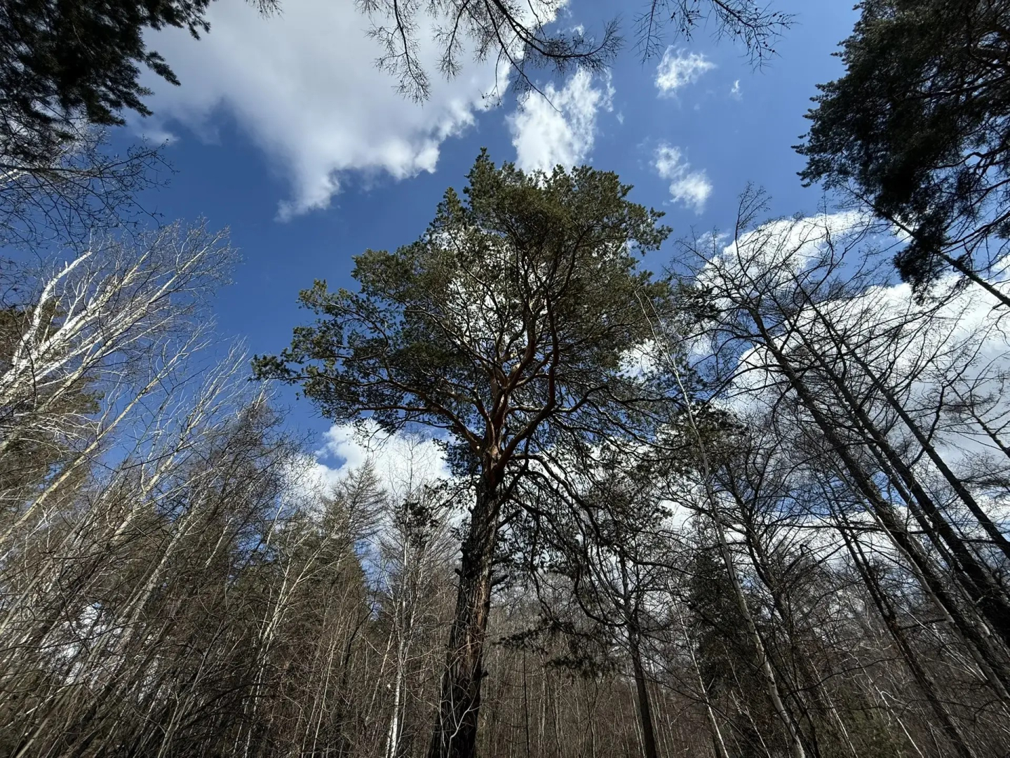 ����� �� ����-��� ����� � ����� ��������������� �������� ������