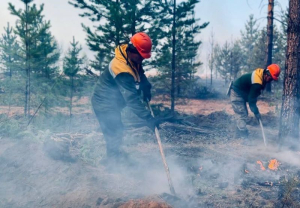В Бурятии торфяной пожар стал причиной лесного пожара 